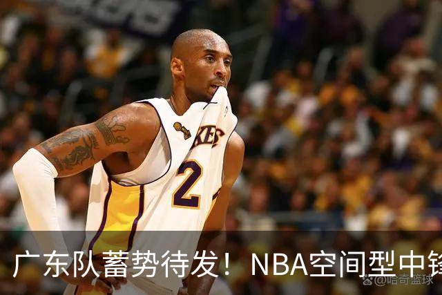 广东队蓄势待发！NBA空间型中锋欲加盟，冲击总决赛指日可待？