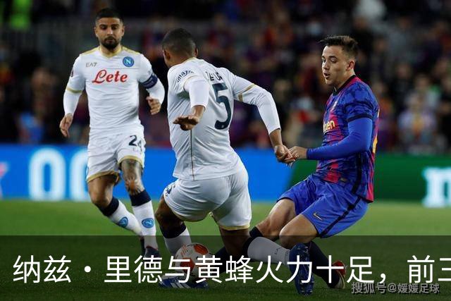 纳兹·里德与黄蜂火力十足，前三场数据惊人